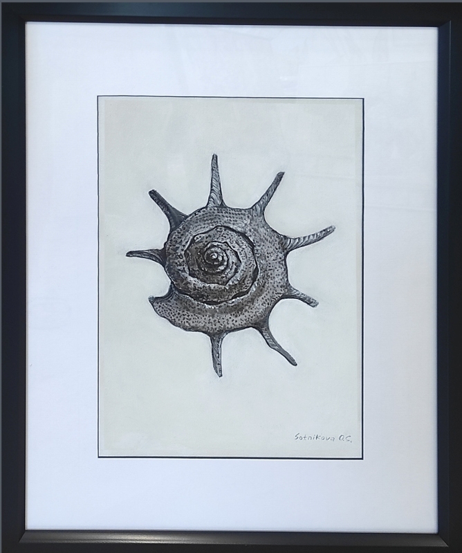 "Морская симфония 4"