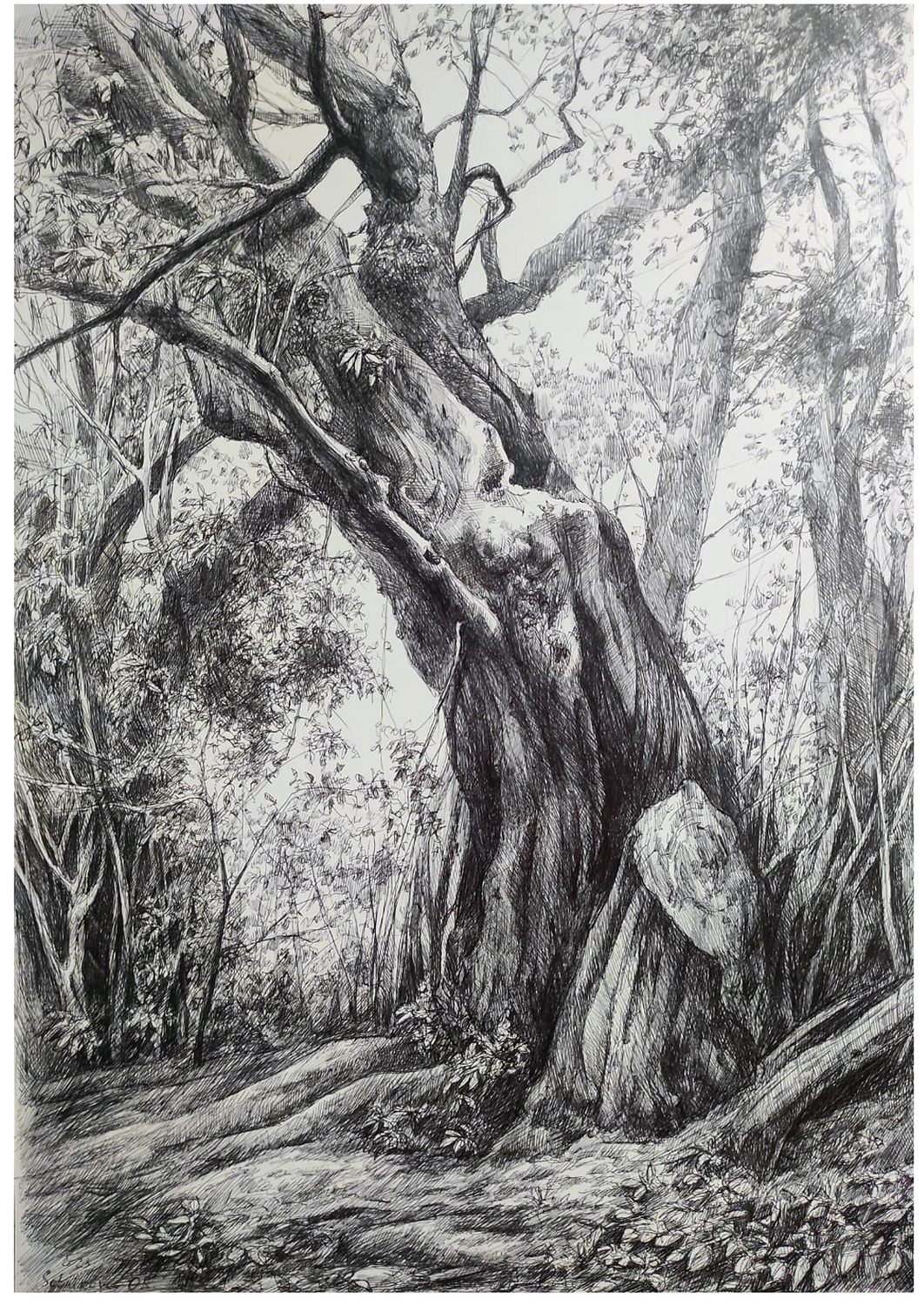 "В лесной глуши"