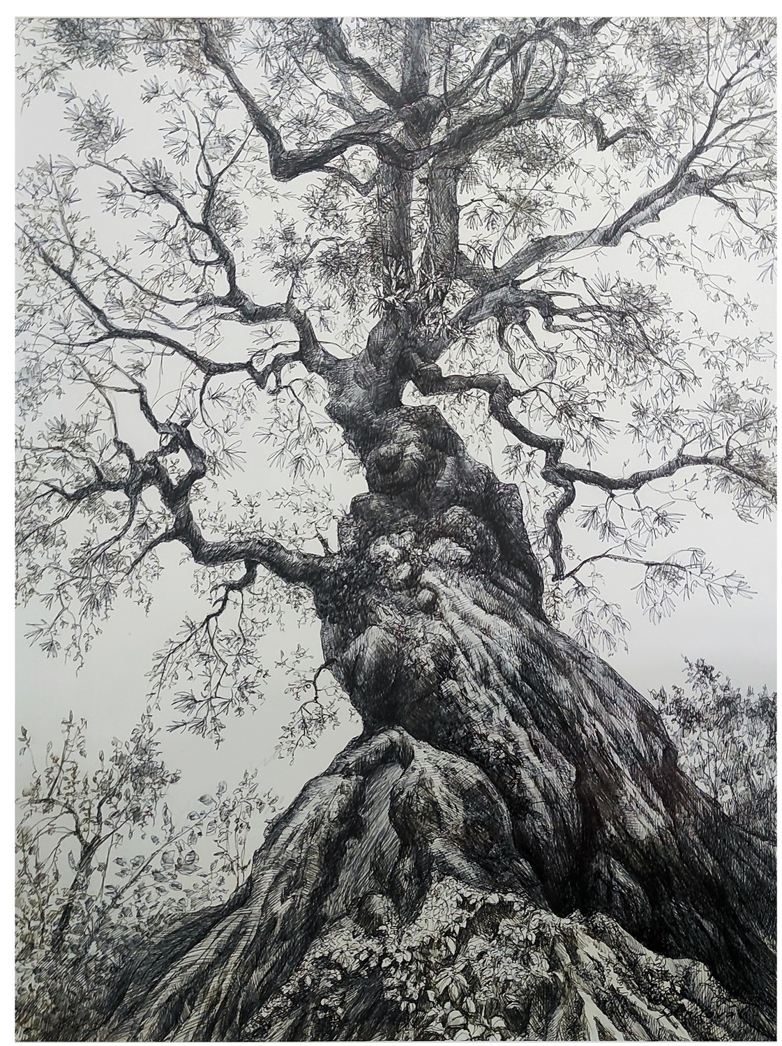 Купить картину в классическом стиле. Художник Оксана Сотникова