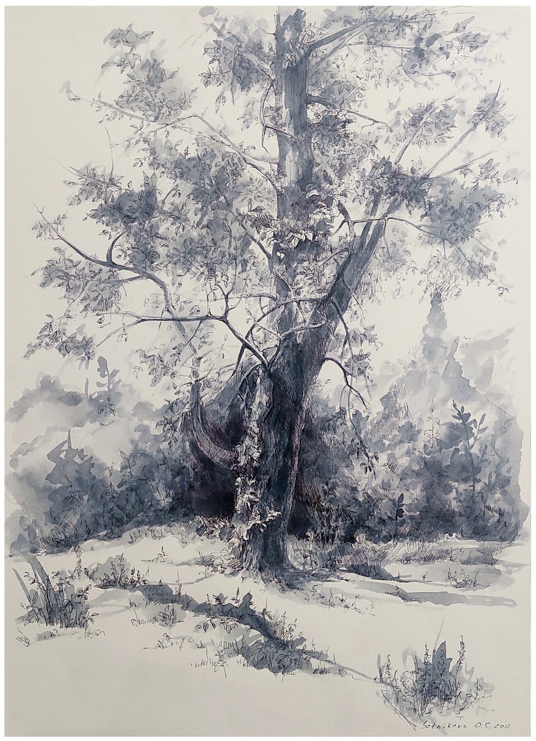 "Плёс. Русский лес"