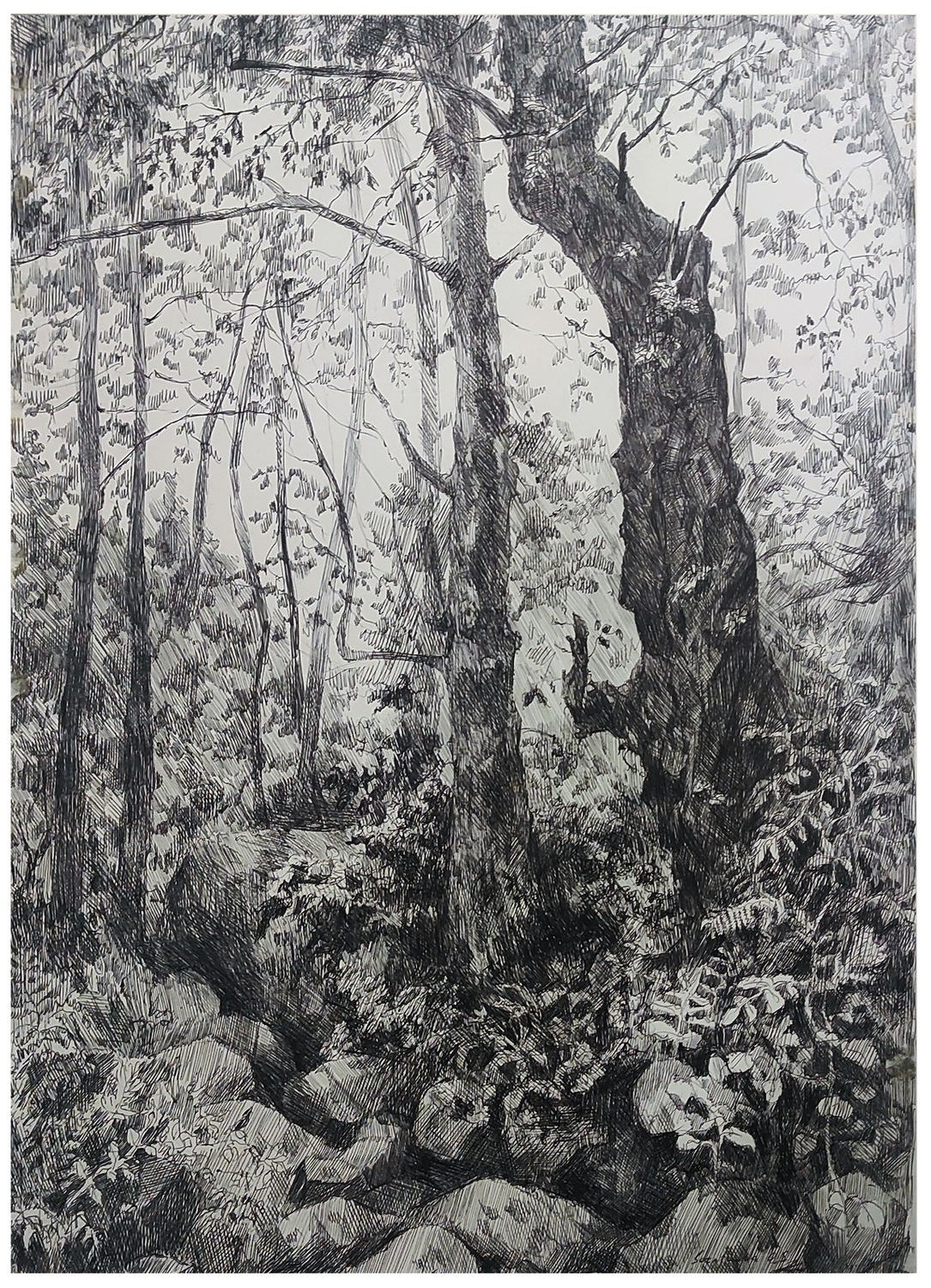 "Пересохший ручей"