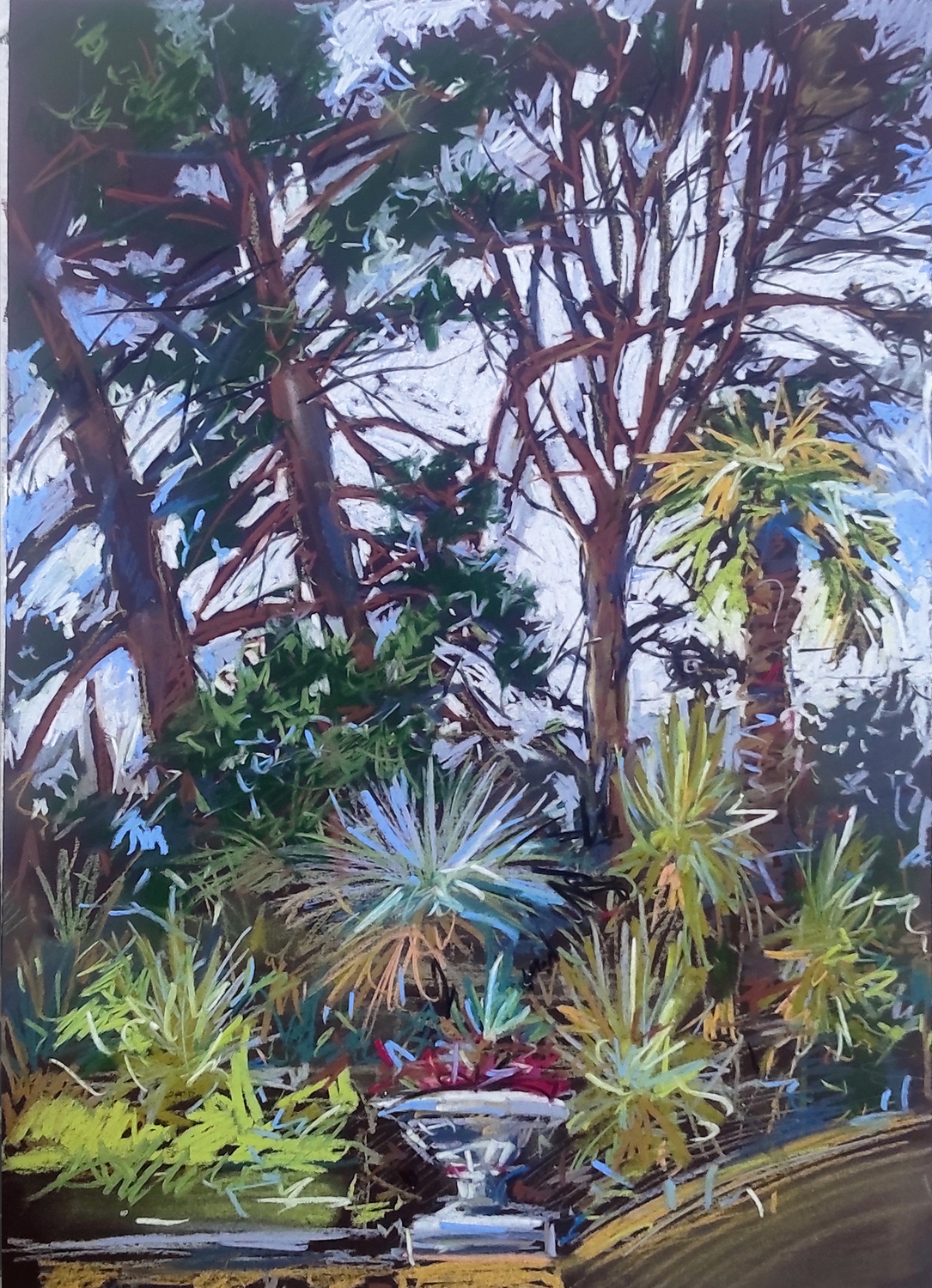 Дендрарий Сочи"