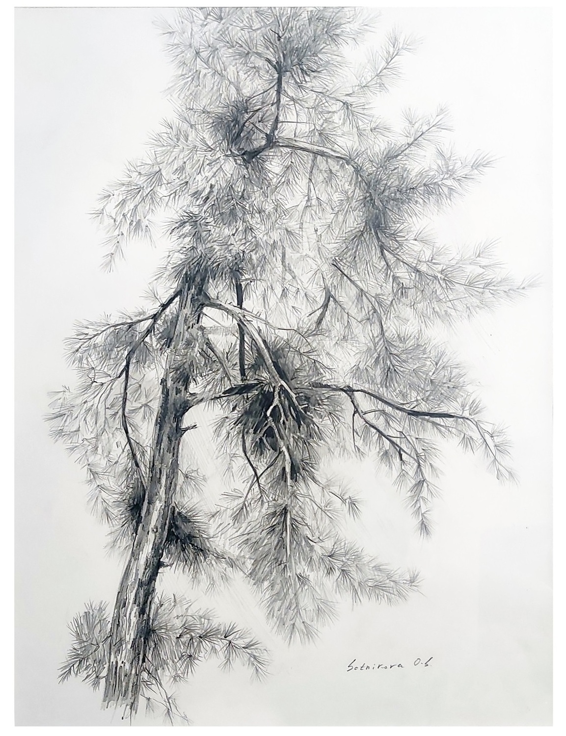 Купить картину в классическом стиле. Художник Оксана Сотникова